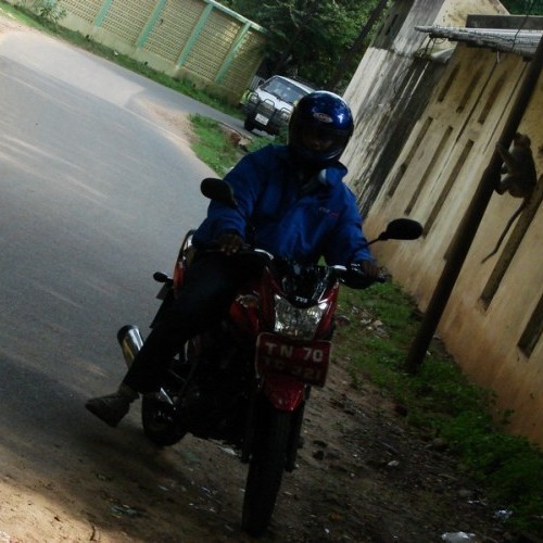 Tvs Jive 17