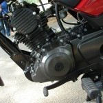 Tvs Jive 25