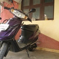 Tvs Scooty Teenz 41