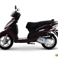TVS Wego Drum