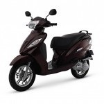 Wego 100