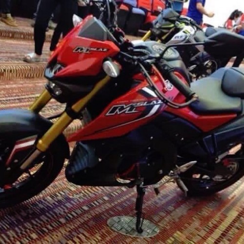 Yamaha M Slaz Front View Telescopic Forks