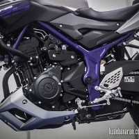 Yamaha Mt 25 Engine