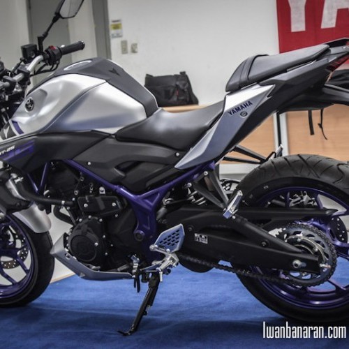 Yamaha Mt 25 Side Full View