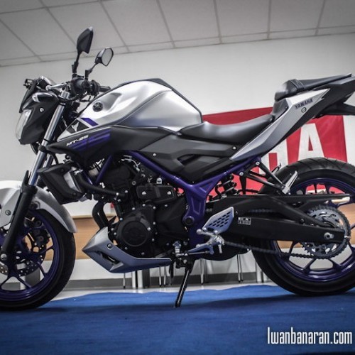 Yamaha Mt 25 Tyre Brake