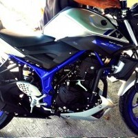 Yamaha Mt25 Spy Picture
