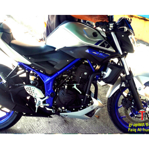 Yamaha Mt25 Spy Picture