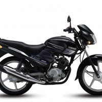 Ybr125 100