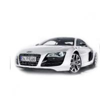 Audi R8 Picture