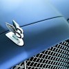 bentley-arnage Previous