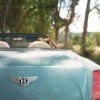 bentley-continental Next