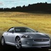 jaguar-xk 593