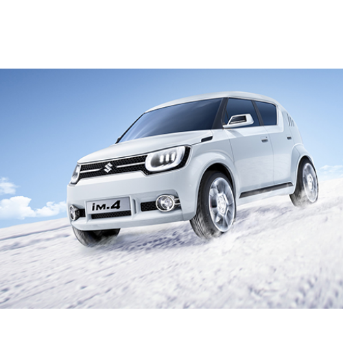 Maruti_IM-4_6