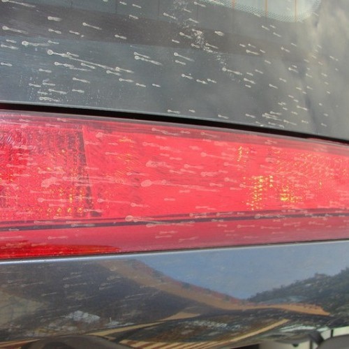 Tata_Indica Vista_30