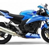 Pulsar 375 Colour 01