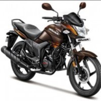 Hero Hunk 150cc Colour Bold Brown