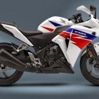 Cbr300r Colour 01