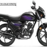 Honda Dream Neo Colour Black With Voilet Stripes