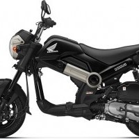 Honda Navi Color Black