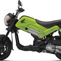 Honda Navi Color Green