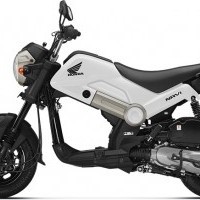 Honda Navi Color White