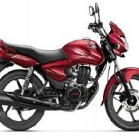 Honda Shine Colour Rebel Red Metallic