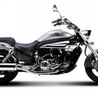 Gv 650 Colour 02