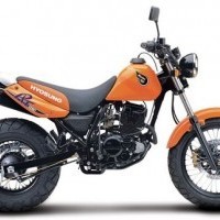 Rt 125d Colour 01