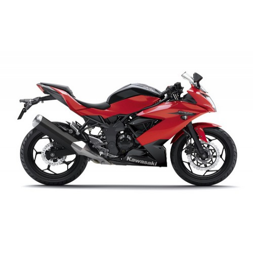 Ninja 250 Rr Mono Colour 01