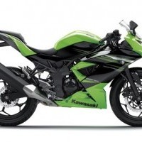 Ninja 250 Rr Mono Colour 02