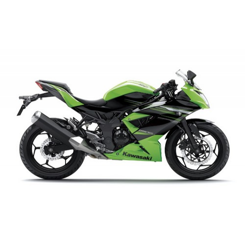 Ninja 250 Rr Mono Colour 02