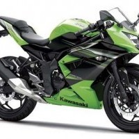 Ninja 250sl Colour 02