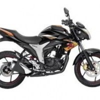 Metallic Majestic Gold