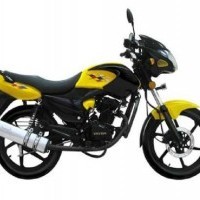 Vibgyor Vehicles Shark Colour Yellow