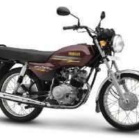 Yamaha Crux Colour Brown