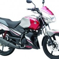 Gladiatorss Colors 01