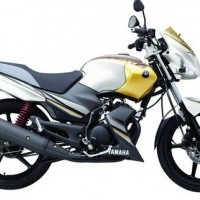 Gladiatorss Colors 02