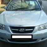 Sonataembera Colour 01