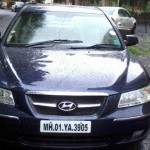 Sonataembera Colour 02