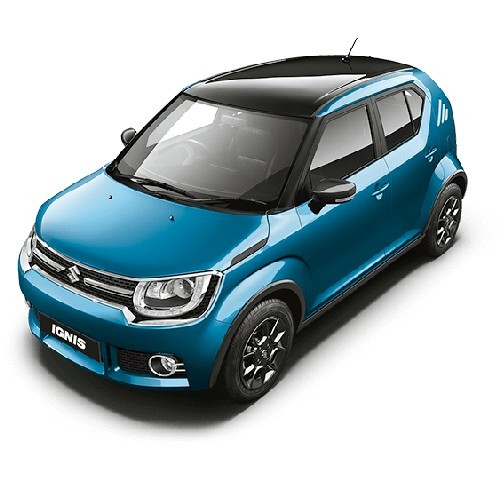   Tinsel Blue With Midnight Black