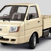 Ashok Leyland Dost Cng Colour Irish Cream