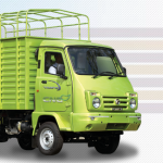 Force Trump 40 Cng Hi Deck Colour Green