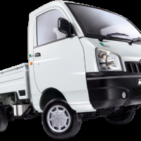 Maxximo Colour White