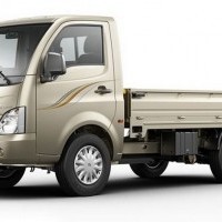 Tata Ace Mega Colour Metallic Beige
