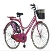 Atlas  Beauty Dx 26