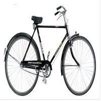 atlas_goldline-super-55-60-cm