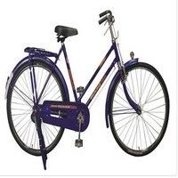 atlas_goldline-super-p-bar-50-cm