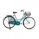 BSA Diana Classic