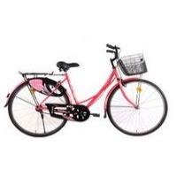 bsa_ladybird-dreamz-24-2013