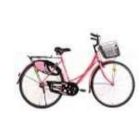 BSA Ladybird Dreamz 24 Picture